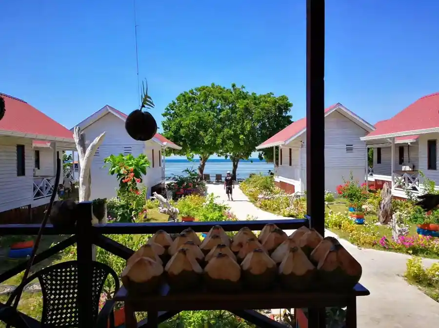 Fresh coconuts ready for guests on a porch overlooking a beautiful flower-lined pathway leading to the ocean at Kulapuan Resort.